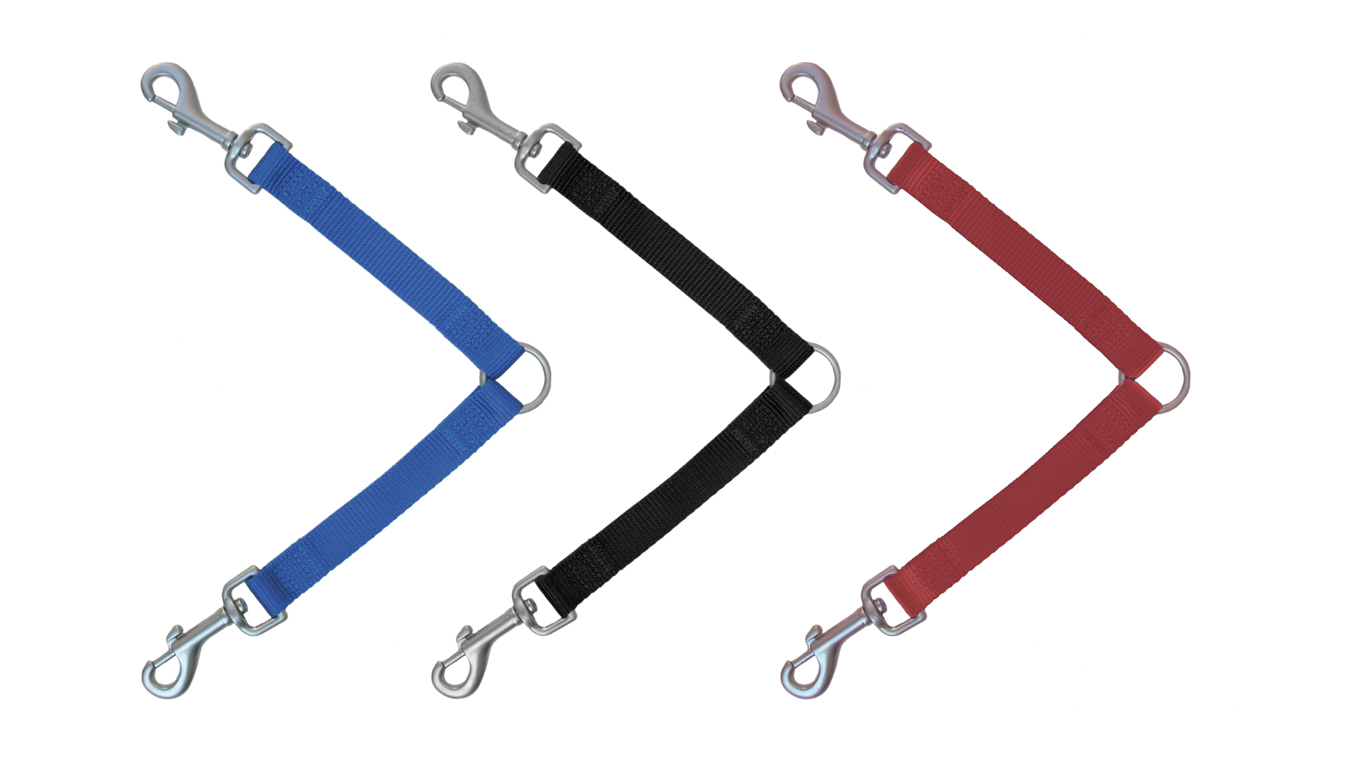 Laisse Nylon duo 20mmx40cm Bleu