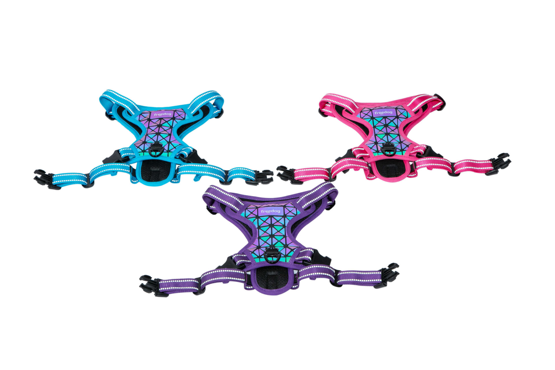 Harnais Boreal Bleu Fuxia 20mm cou 38-59cmx38-75cm