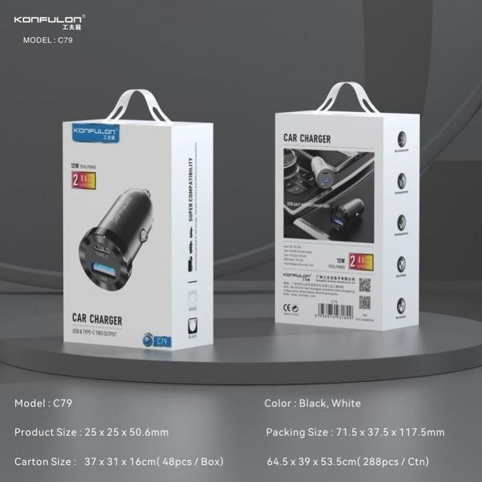 CHARGEUR C79 12V