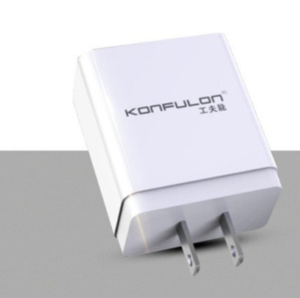CHARGEUR C59 MICRO