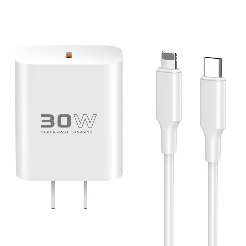 CHARGEUR C87C DL50 IP